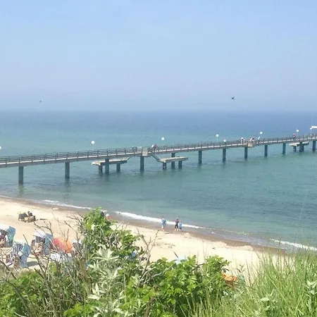 Albatros In The House Of Aquarius Rerik