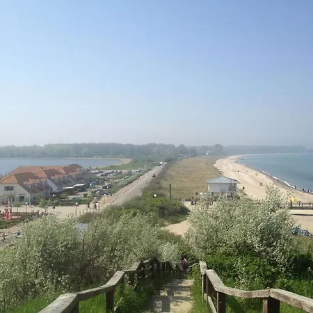 Albatros In The House Of Aquarius *